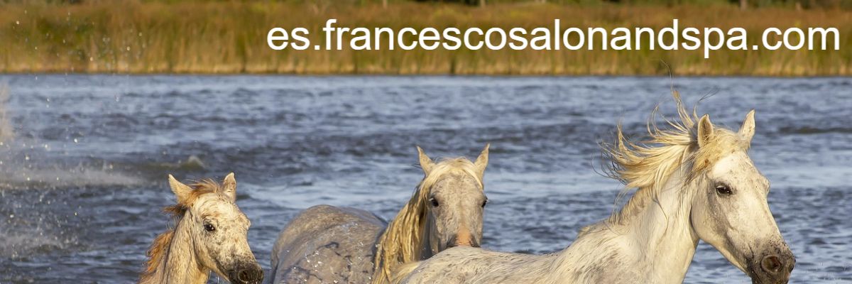 es.francescosalonandspa.com